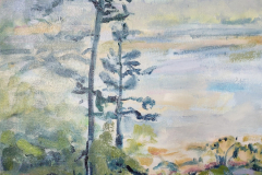 Birch Harbor, Fog