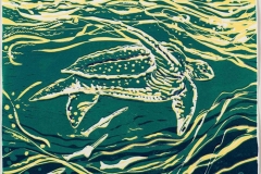 brooks_swimmer_web