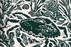 brooks_tide-pool